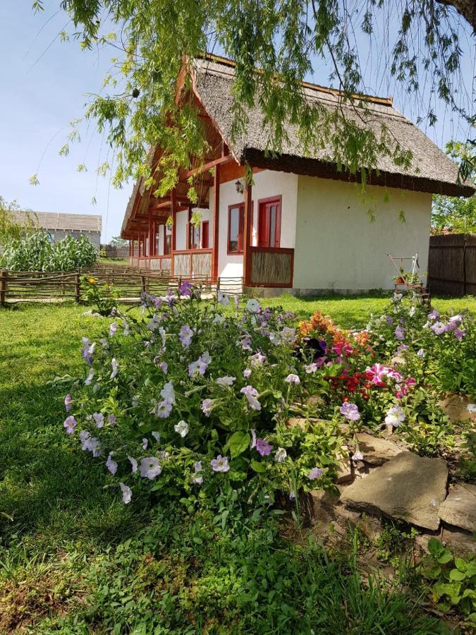 Pensiunea Clisciova Murighiol Exterior photo