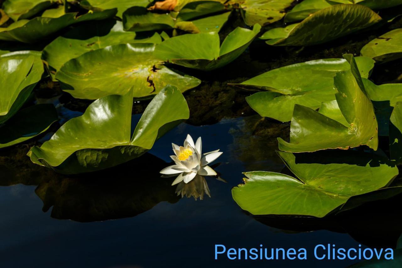 Pensiunea Clisciova Murighiol Exterior photo