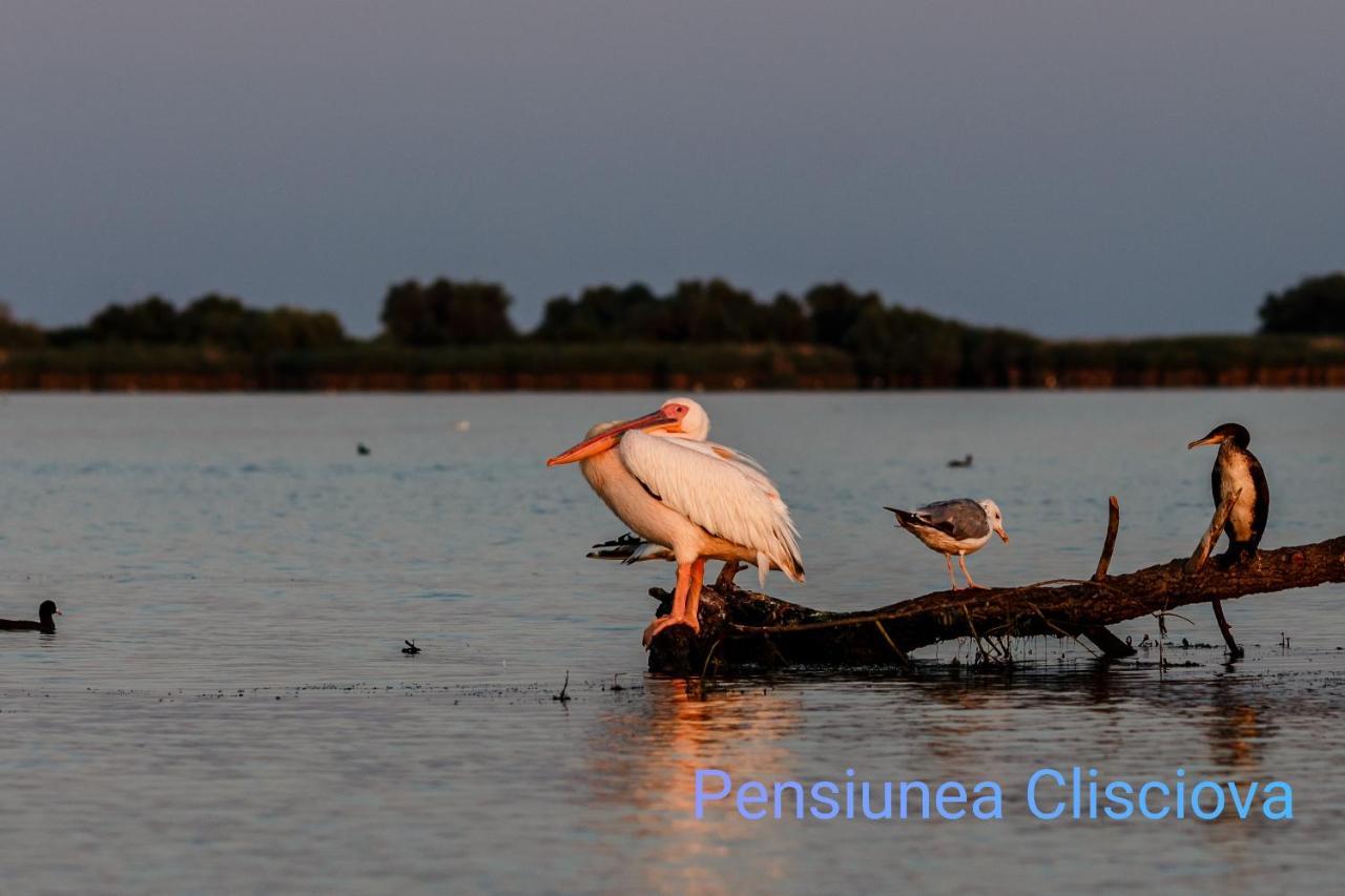 Pensiunea Clisciova Murighiol Exterior photo