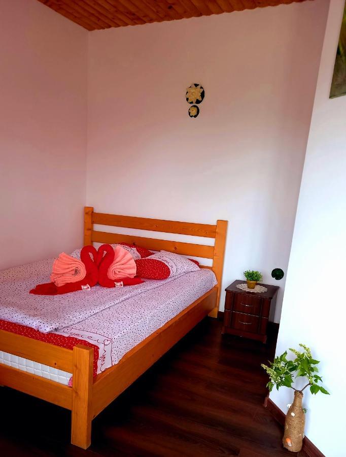 Pensiunea Clisciova Murighiol Room photo