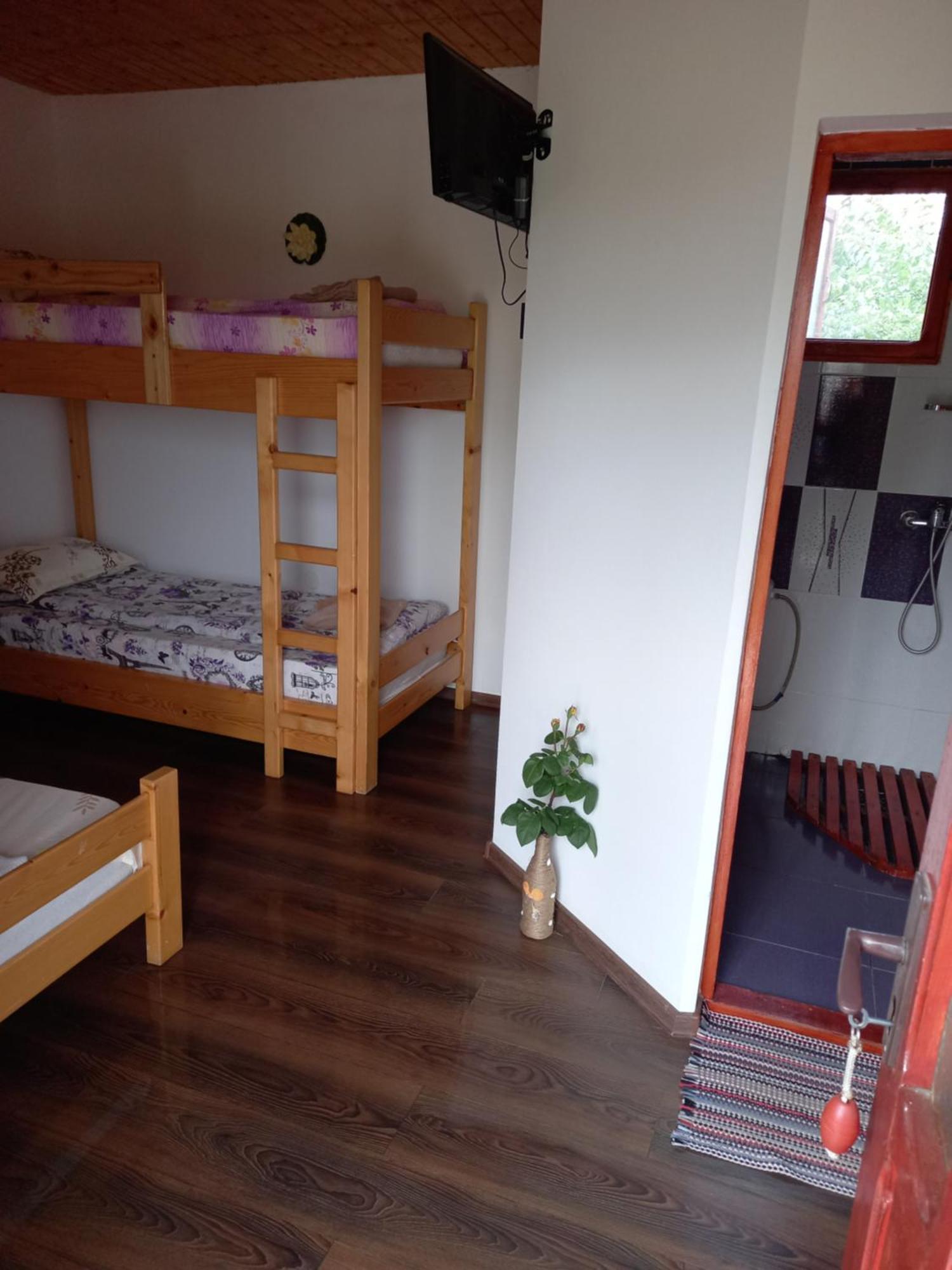 Pensiunea Clisciova Murighiol Room photo